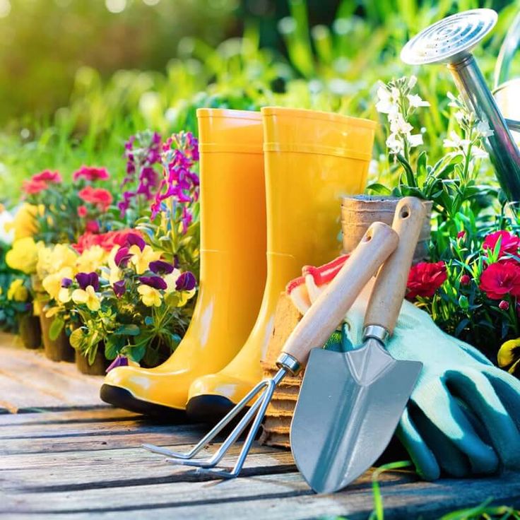 Other Cleaning Services